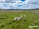 Photo - 148 Bigga Road Binda Via , Crookwell NSW 2583 - Image 25