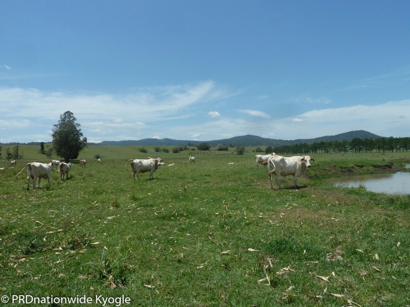 Photo - 148 Collins Creek Road, Kyogle NSW 2474 - Image 1