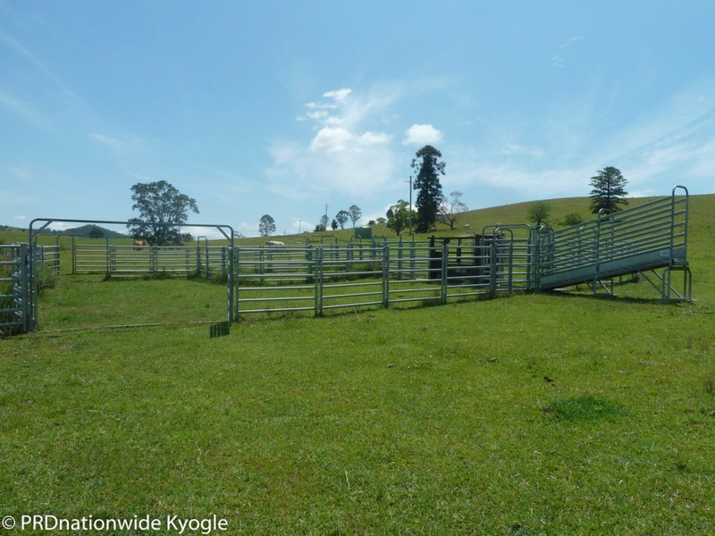 Photo - 148 Collins Creek Road, Kyogle NSW 2474 - Image 5