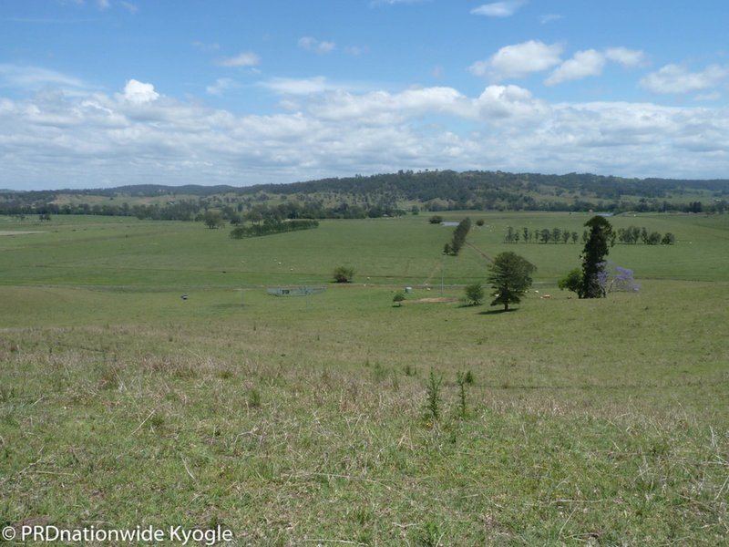 Photo - 148 Collins Creek Road, Kyogle NSW 2474 - Image 12