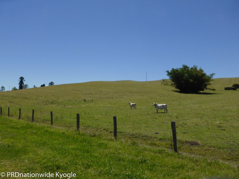 Photo - 148 Collins Creek Road, Kyogle NSW 2474 - Image 15