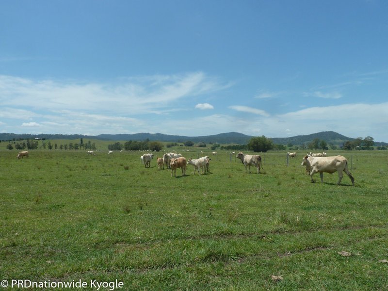 Photo - 148 Collins Creek Road, Kyogle NSW 2474 - Image 20