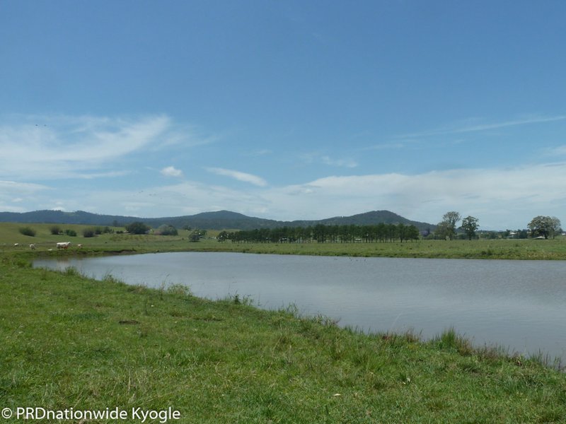 Photo - 148 Collins Creek Road, Kyogle NSW 2474 - Image 21