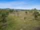 Photo - 148 Nunns Road, Clarendon QLD 4311 - Image 5