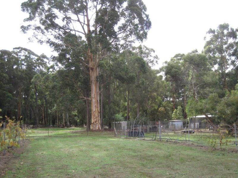 Photo - 148 West Boundary Road, Manjimup WA 6258 - Image 16