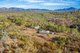 Photo - 148 Wildman Road, Iveragh QLD 4680 - Image 25