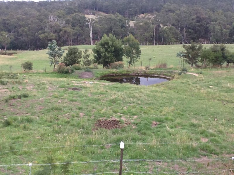 Photo - 1480 Nubeena Road, Nubeena TAS 7184 - Image 6