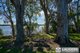 Photo - 1489 Manning Point Road, Mitchells Island NSW 2430 - Image 20
