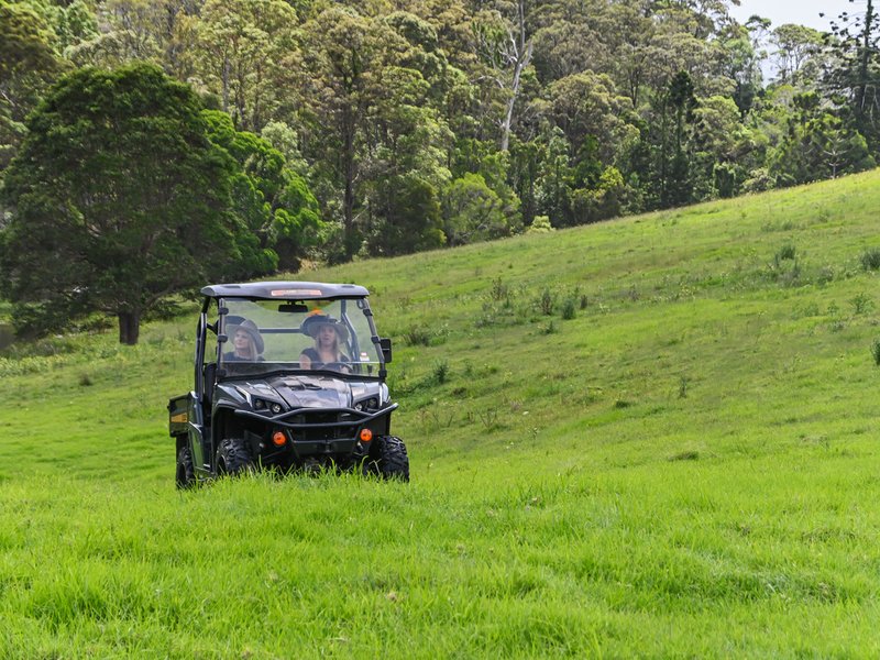 Photo - 148A&B Ocean View Road, Ocean View QLD 4521 - Image 4