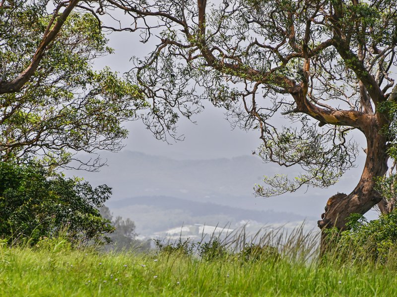 Photo - 148A&B Ocean View Road, Ocean View QLD 4521 - Image 6