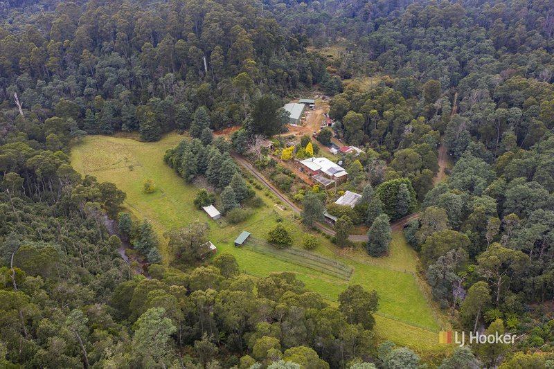 Photo - 149 Bassetts Road, Calder TAS 7325 - Image 2