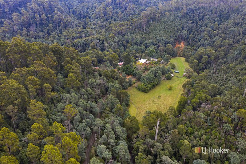 Photo - 149 Bassetts Road, Calder TAS 7325 - Image 21