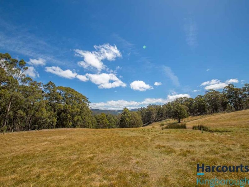 Photo - 149 Blue Gate Road, Margate TAS 7054 - Image 15