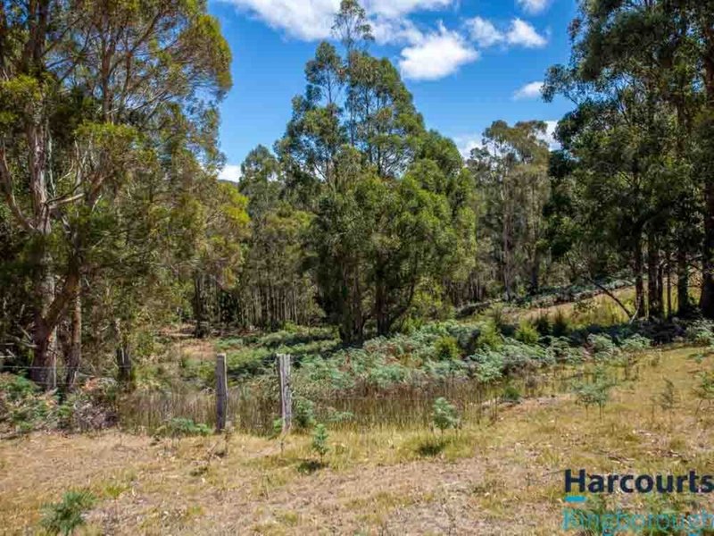 Photo - 149 Blue Gate Road, Margate TAS 7054 - Image 16