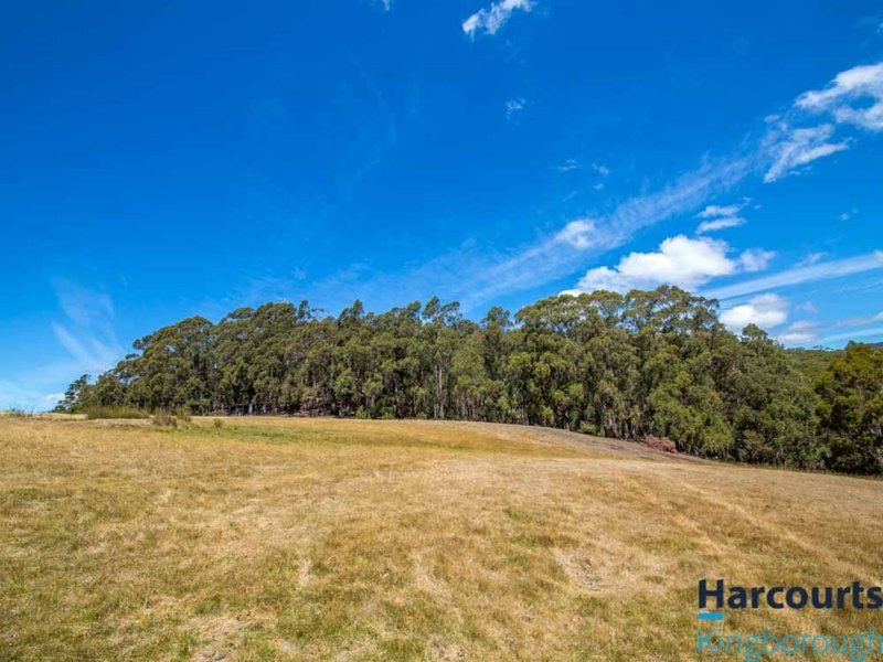 Photo - 149 Blue Gate Road, Margate TAS 7054 - Image 17