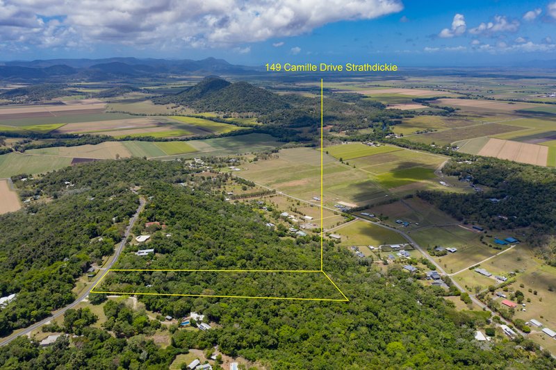 Photo - 149 Camille Drive, Strathdickie QLD 4800 - Image 18