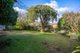 Photo - 149 Canterbury Jetty Road, Rye VIC 3941 - Image 2