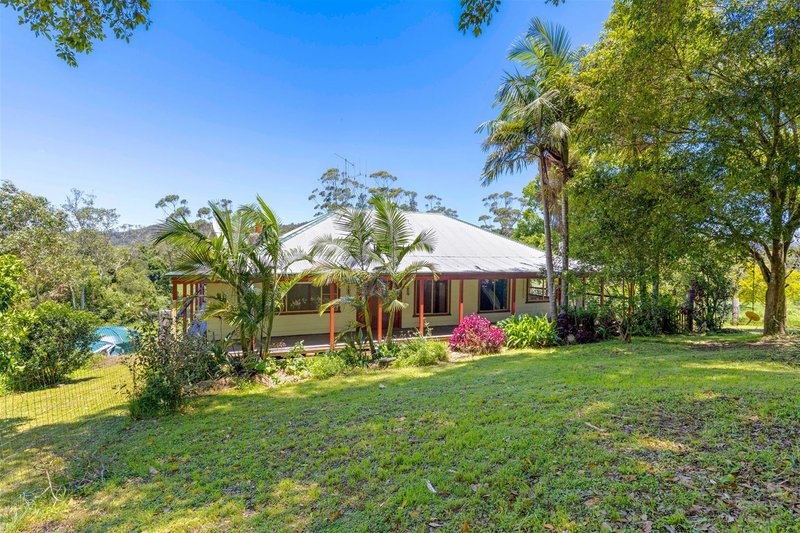 Photo - 149 Jerusalem Road, Stewarts River NSW 2443 - Image 17