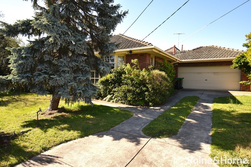 149 Ludstone Street, Hampton VIC 3188