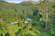 Photo - 149 Petsch Creek Road, Tallebudgera Valley QLD 4228 - Image 1