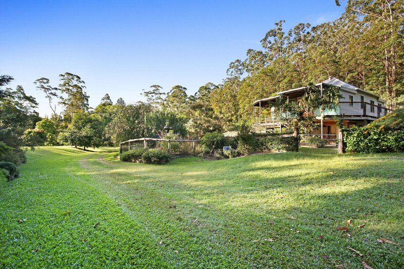 Photo - 149 Petsch Creek Road, Tallebudgera Valley QLD 4228 - Image 10