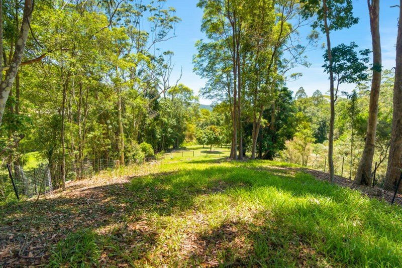 Photo - 149 Petsch Creek Road, Tallebudgera Valley QLD 4228 - Image 24