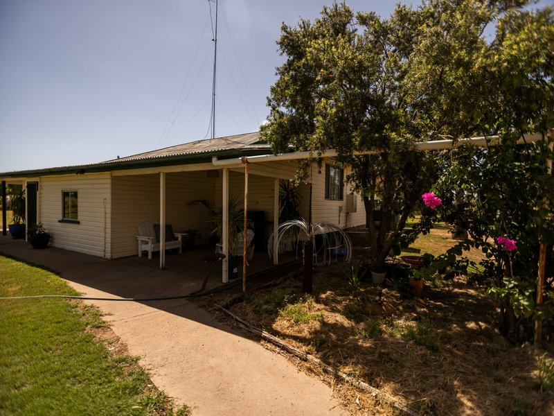 Photo - 149 Swans Road, Wallumbilla QLD 4428 - Image 12