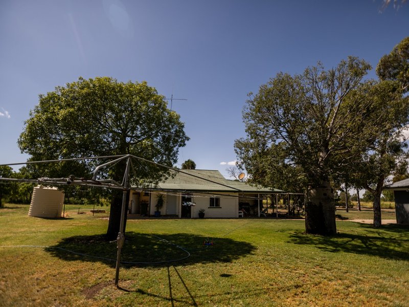 Photo - 149 Swans Road, Wallumbilla QLD 4428 - Image 13