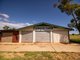 Photo - 149 Swans Road, Wallumbilla QLD 4428 - Image 14