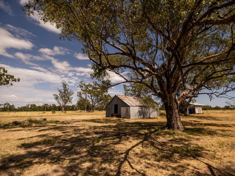 Photo - 149 Swans Road, Wallumbilla QLD 4428 - Image 20