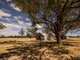 Photo - 149 Swans Road, Wallumbilla QLD 4428 - Image 20