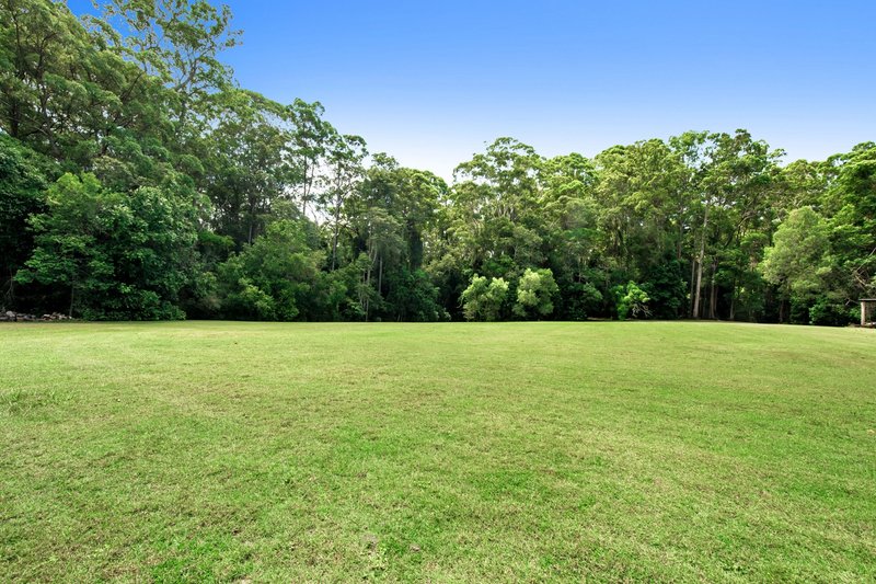 Photo - 149 Winston Road, Palmwoods QLD 4555 - Image 4