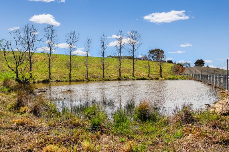 Photo - 1497 Sutton Road, Sutton NSW 2620 - Image 4