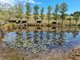 Photo - 1497 Sutton Road, Sutton NSW 2620 - Image 7