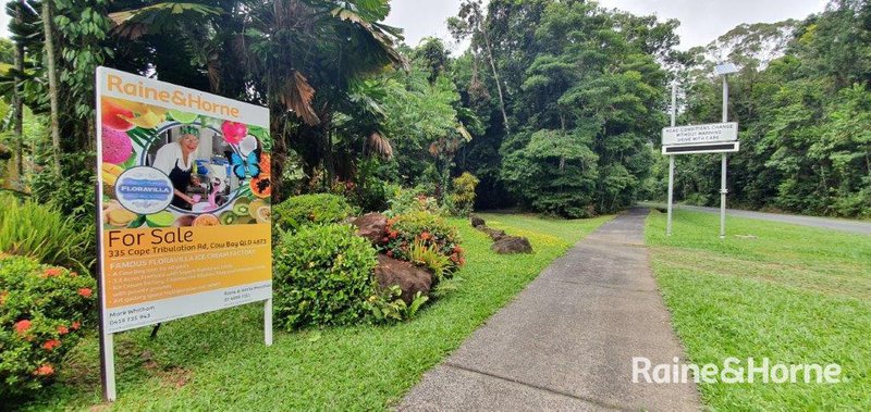 1498 Cape Tribulation Road, Cow Bay (Floravilla) , Daintree QLD 4873