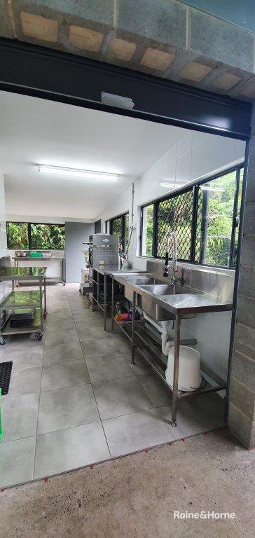 Photo - 1498 Cape Tribulation Road, Cow Bay (Floravilla) , Daintree QLD 4873 - Image 11