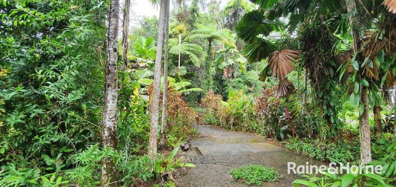 Photo - 1498 Cape Tribulation Road, Cow Bay (Floravilla) , Daintree QLD 4873 - Image 22