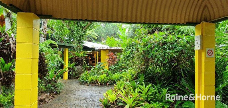 Photo - 1498 Cape Tribulation Road, Cow Bay (Floravilla) , Daintree QLD 4873 - Image 24