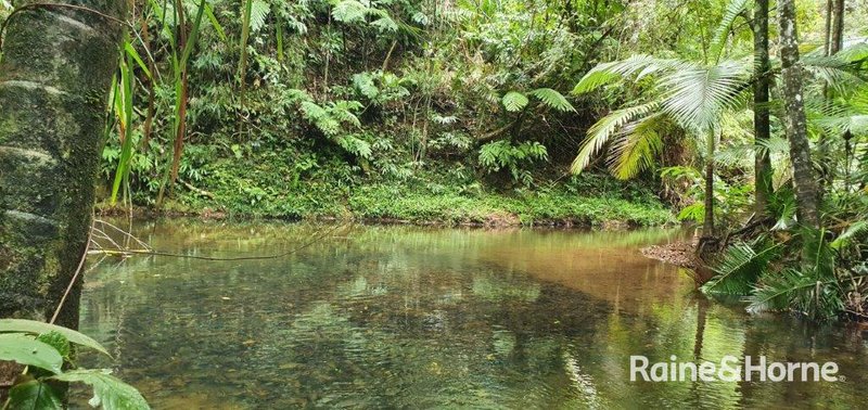 Photo - 1498 Cape Tribulation Road, Cow Bay (Floravilla) , Daintree QLD 4873 - Image 27