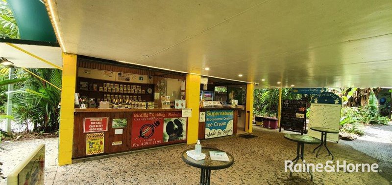 Photo - 1498 Cape Tribulation Road, Cow Bay (Floravilla) , Daintree QLD 4873 - Image 32