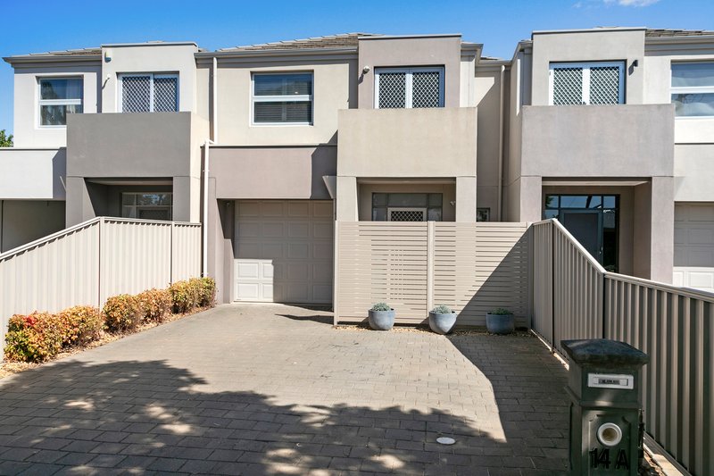 Photo - 14A Jervois Street, South Plympton SA 5038 - Image 2