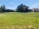 Photo - 14a Patrick Street, Bothwell TAS 7030 - Image 5