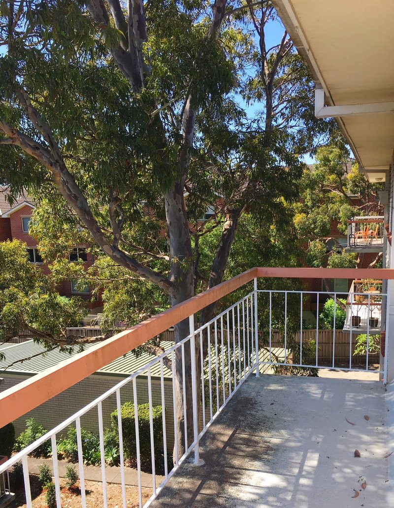 Photo - 14C/31 Quirk Rd , Manly Vale NSW 2093 - Image 4