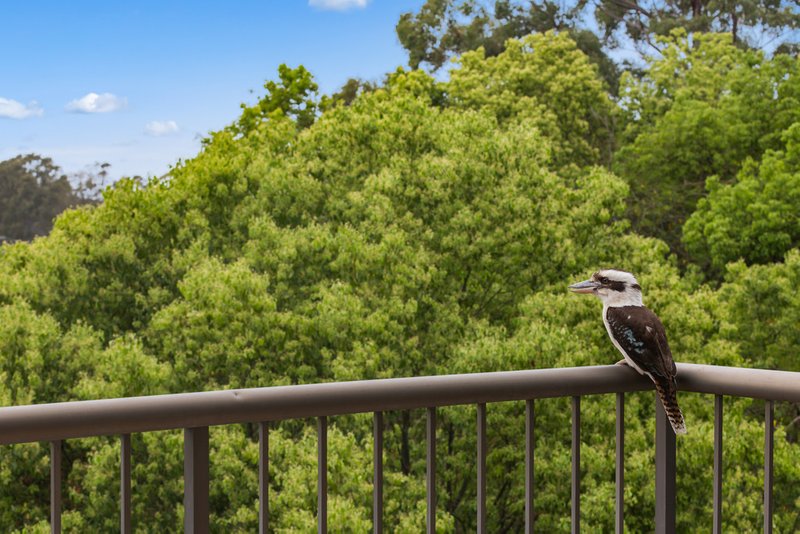 Photo - 15 / 12-16 Cupania Court, Tweed Heads West NSW 2485 - Image 14