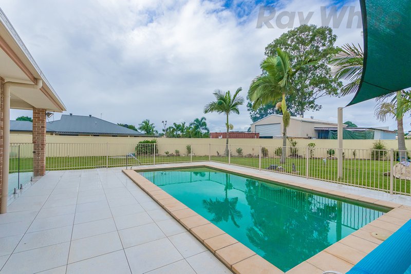 Photo - 15-17 Eureka Court, Wamuran QLD 4512 - Image 13