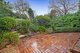 Photo - 15 Alexis Court, Wantirna South VIC 3152 - Image 10