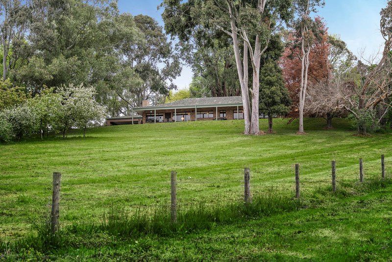 Photo - 15 Avard Road, Emerald VIC 3782 - Image 13