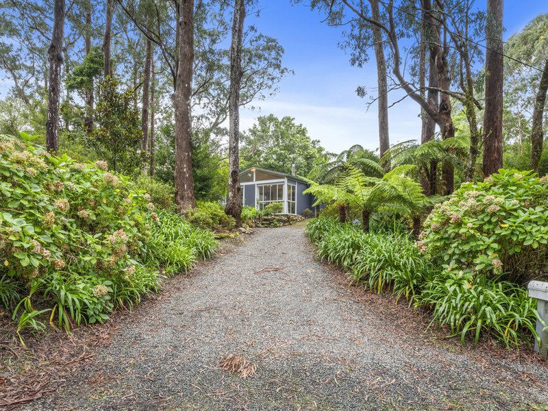 Photo - 15 Banksia Road, Springbrook QLD 4213 - Image 7