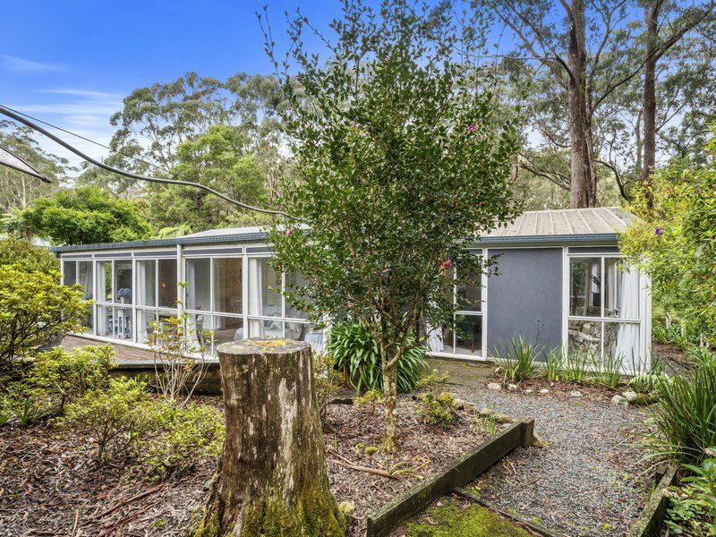 Photo - 15 Banksia Road, Springbrook QLD 4213 - Image 14