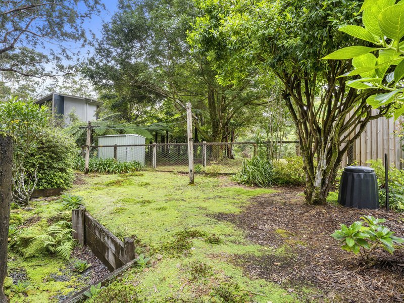 Photo - 15 Banksia Road, Springbrook QLD 4213 - Image 16